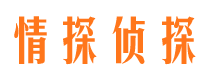 紫云私家侦探